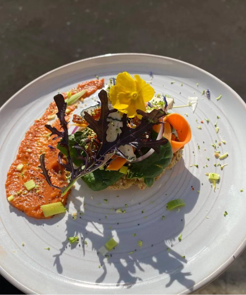 Tasty Life Traiteur Vegan Toulon Tasty Life03 Tasty Life Traiteur Vegan Toulon Tasty Life03