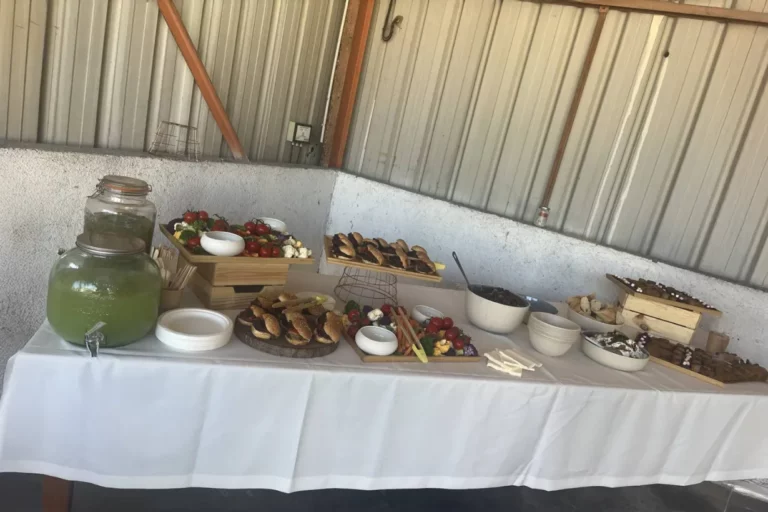 Tasty Life Traiteur Vegan Toulon Buffet Vegetale Pour Une Societe Dautoroute A Aix En Provence Pour La Journee De Sensibilisation Environnementale