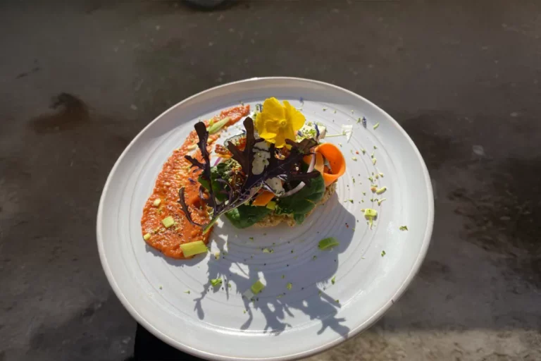 Tasty Life Traiteur Vegan Toulon Diner De Fetes Sur Mesure Sur La Cote DAzur Par Un Chef A Demeure01